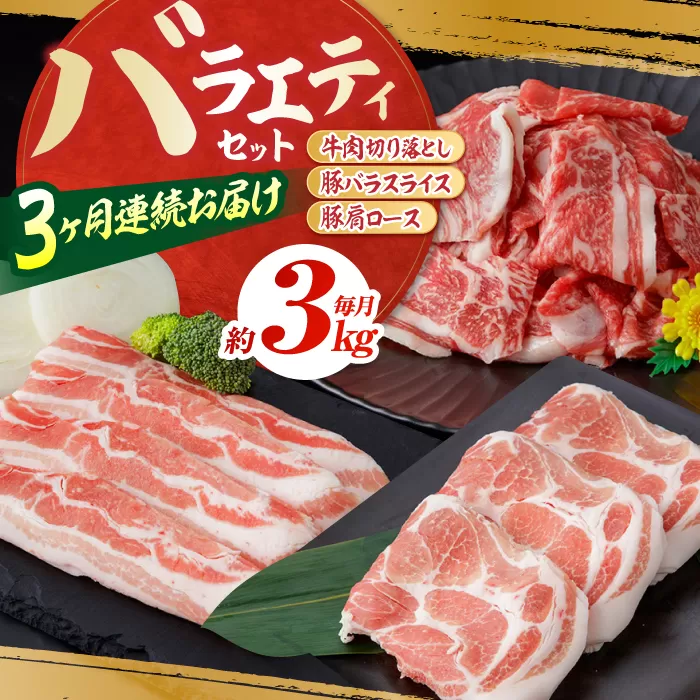 【3回定期便】お肉の定期便 バラエティセット (3ヵ月) 総計約9kg 国産 牛肉 切り落とし 豚肉 バラ 肩ロース 【(有)山重食肉】[ATAP076]