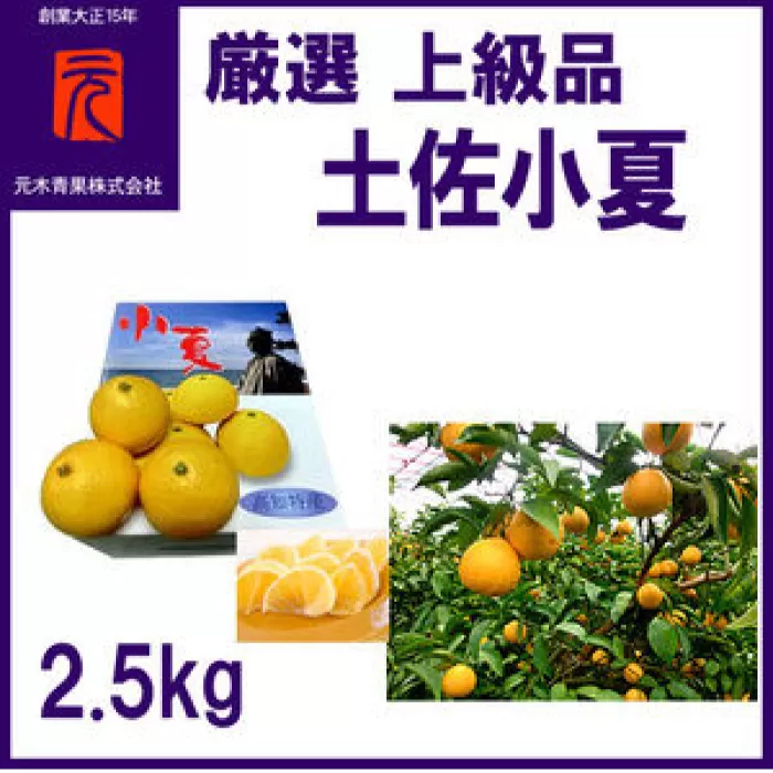 厳選上級品土佐小夏約2.5kg/化粧箱詰/【グレイジア株式会社】 [ATAC341]
