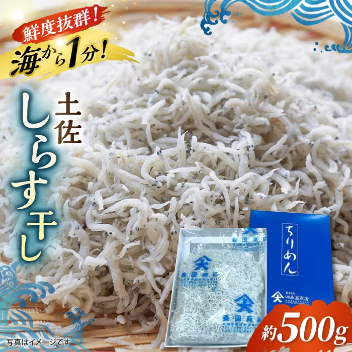 しらす干し 約500g 浜で瞬時に釜出し 高知のしらす 【グレイジア株式会社】 [ATAC076]