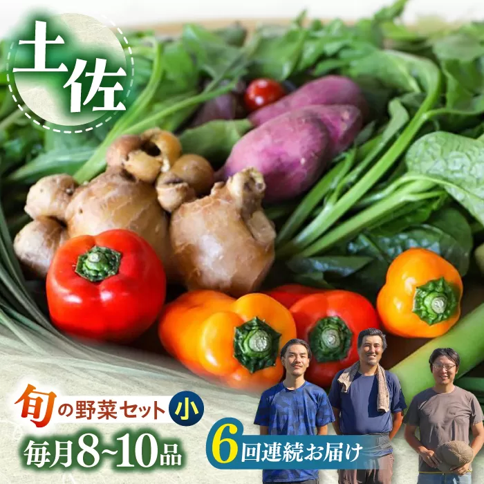 【6回定期便】 土佐の太陽をいっぱいに浴びた旬の野菜セット小 【土佐野菜】 [ATBA006]