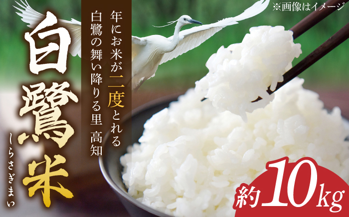YU　25キロ精米 Amazon.co.jp: 新米 お米27キロ 令和6年産 茨城県産 コシヒカリ