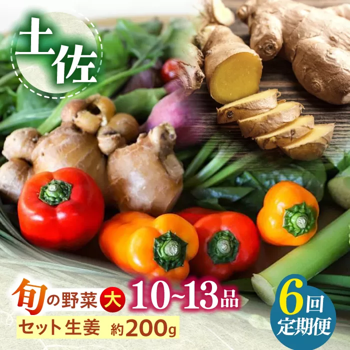 【6回定期便】 土佐の太陽をいっぱいに浴びた旬の野菜と生姜約200gのセット「大」 (6回配送)【土佐野菜】 [ATBA015]