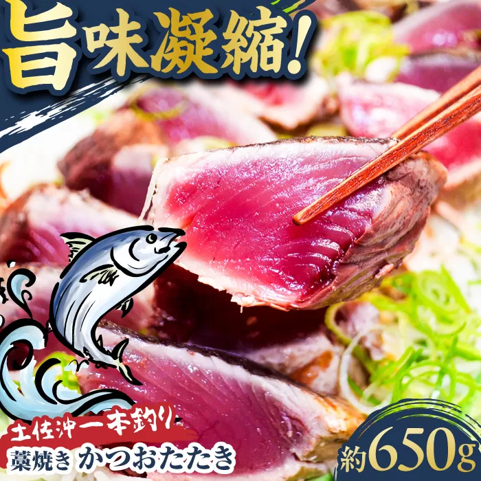 土佐沖一本釣り藁焼きかつおたたき 約650g (3-5個)【株式会社高知大丸】 [ATEZ008]