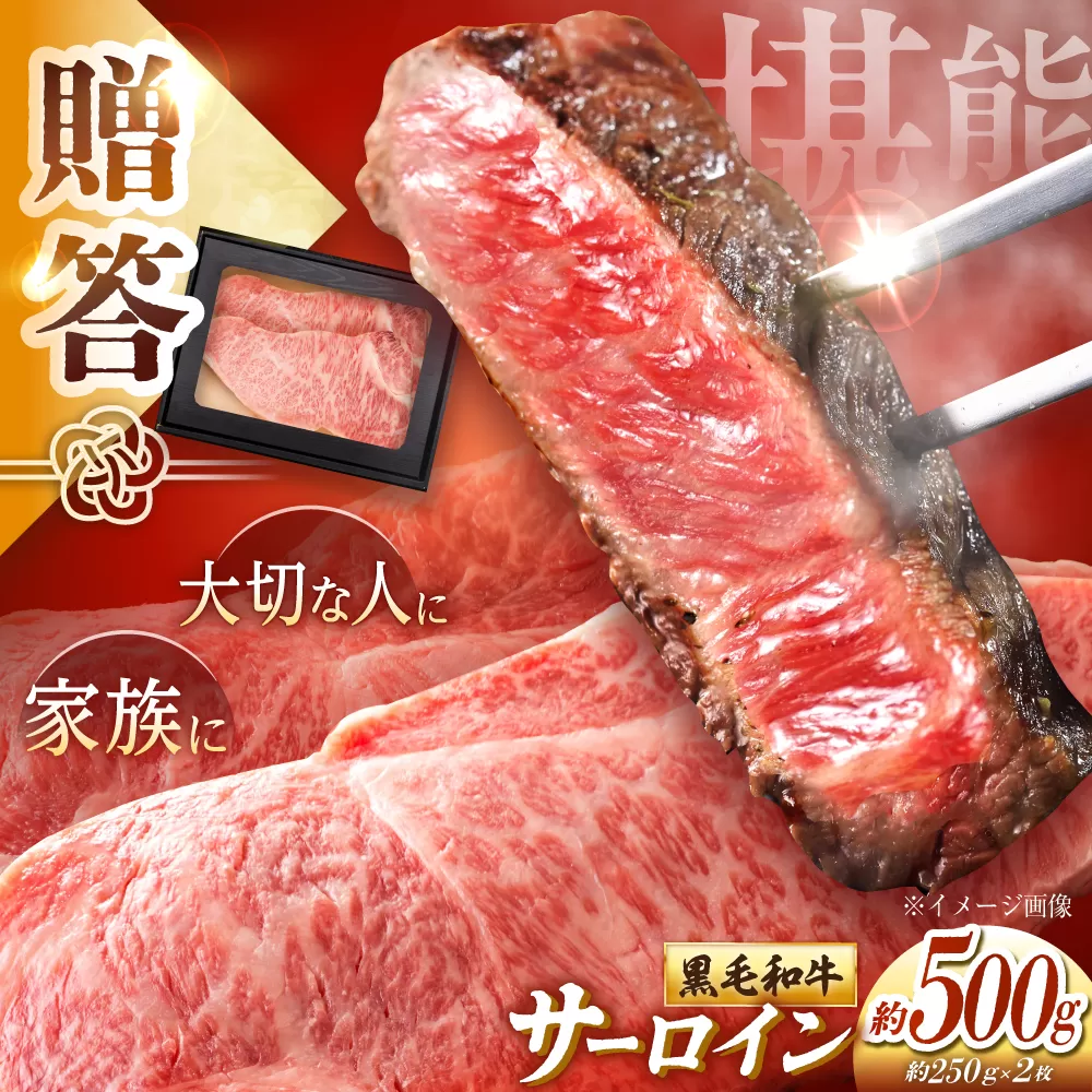 高知 黒毛和牛 ステーキ 約500g(約250g×2枚) / 高知 お肉 牛肉 牛 サーロイン 贈答 ギフト 贅沢 【焼肉寛十郎】 [ATDO011]
