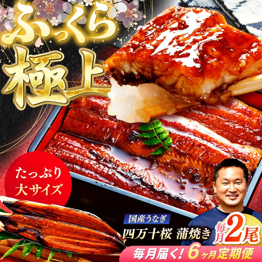 【6回定期便】 極上国産うなぎ四万十桜 蒲焼き2尾 たっぷり大サイズ / 国産 高知 四万十 うなぎ ウナギ 鰻 蒲焼き うな重 惣菜 贅沢 【有限会社もりた】 [ATHE008]