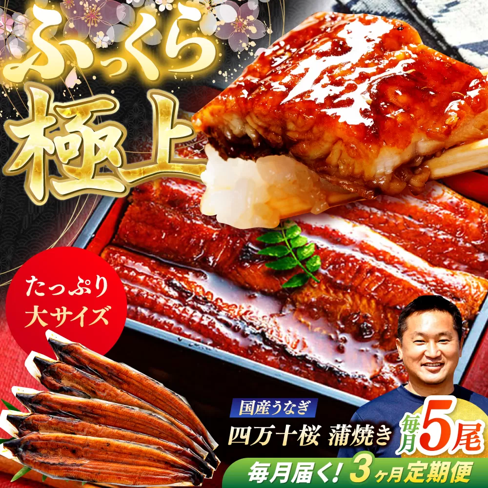 【3回定期便】極上国産うなぎ四万十桜 蒲焼き5尾 たっぷり大サイズ / 国産 高知 四万十 うなぎ ウナギ 鰻 蒲焼き うな重 惣菜 贅沢 【有限会社もりた】 [ATHE009]