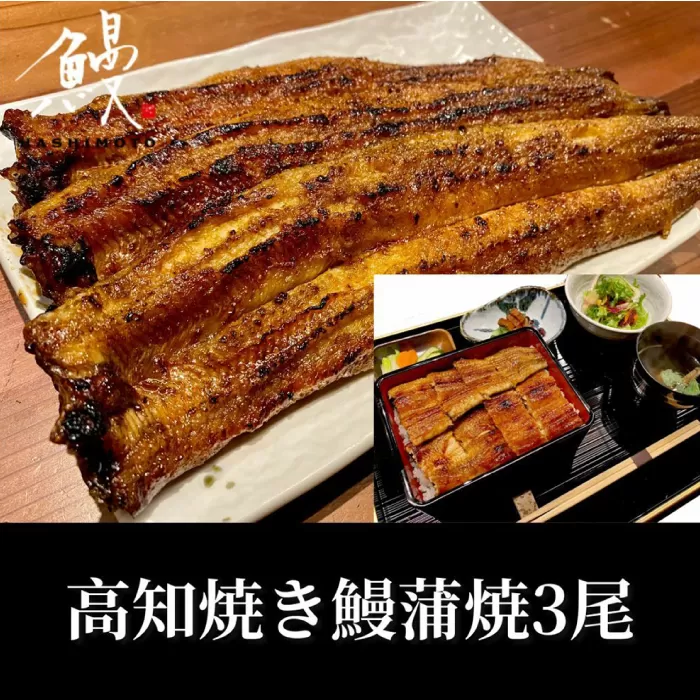 高知焼き鰻蒲焼3尾 【鰻HASHIMOTO】 [ATDX006]