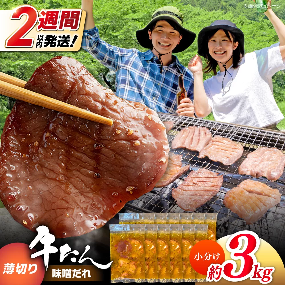 薄切り 牛タン 味噌だれ 約250g×12パック 計約3kg 小分け 個包装 味付け タレ たれ 高知県 お肉 牛肉 贅沢 焼き肉 BBQ バーベキュー 訳あり わけあり 【焼肉寛十郎】 [ATDO031]