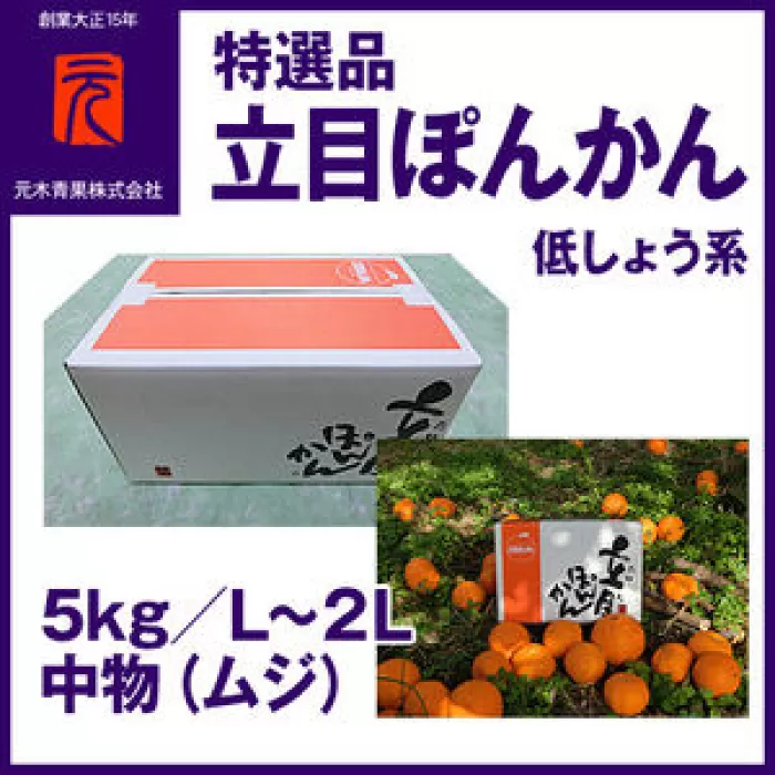 特選品立目ぽんかん（低しょう系）約5kg | L〜２L 中物（ムジ）【グレイジア株式会社】 [ATAC331]