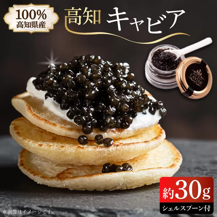 高知産熟成キャビア 約30g (化粧箱) シェルスプーン付Black Jewel [興洋フリーズ株式会社] [ATBX010]