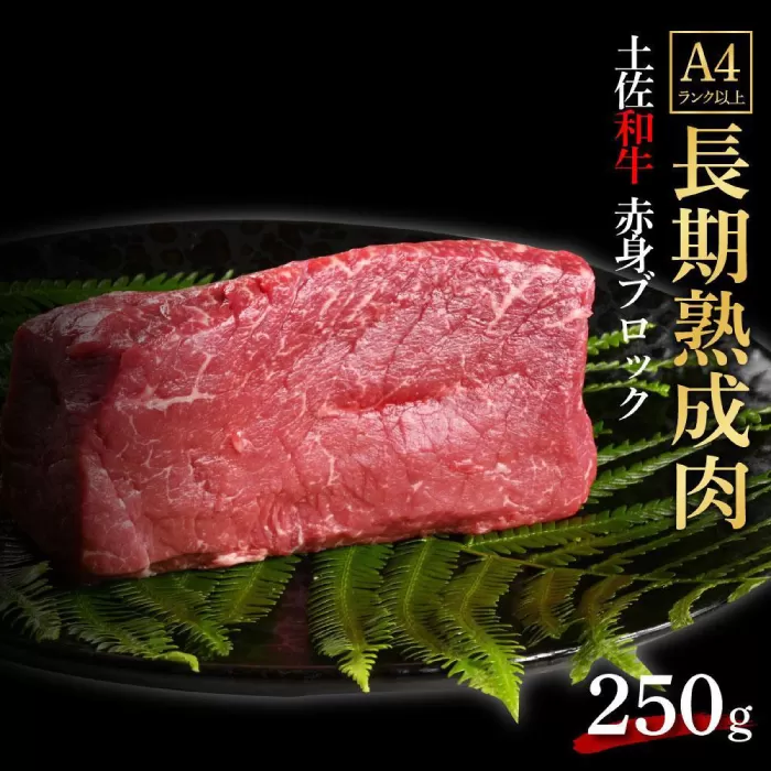 エイジング工法 熟成肉 土佐和牛 特選赤身 ブロック 約250g (冷凍) 【株式会社LATERAL】