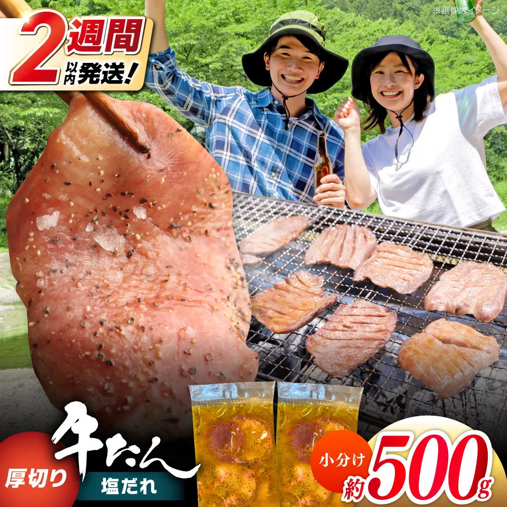 厚切り 牛タン 塩だれ 約250g×2パック 計約500g 小分け 個包装 味付け タレ たれ 高知県 お肉 牛肉 贅沢 焼き肉 BBQ バーベキュー 訳あり わけあり 【焼肉寛十郎】 [ATDO021]