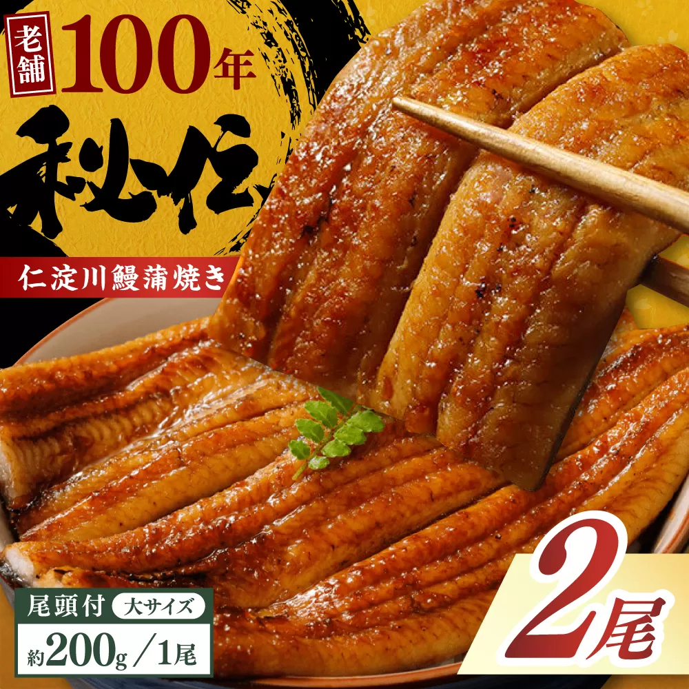 完全無投薬 仁淀川の伏流水で育てた贅沢うなぎ蒲焼き 大 (約200g×2尾) ギフトセット 池澤鮮魚 【池澤鮮魚オンラインショップ】 [ATBE008]