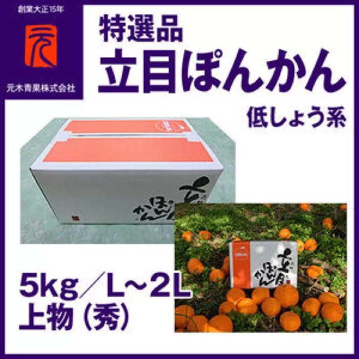 特選品立目ぽんかん（低しょう系）約5kg | L〜２L 上物（秀）【グレイジア株式会社】 [ATAC332]