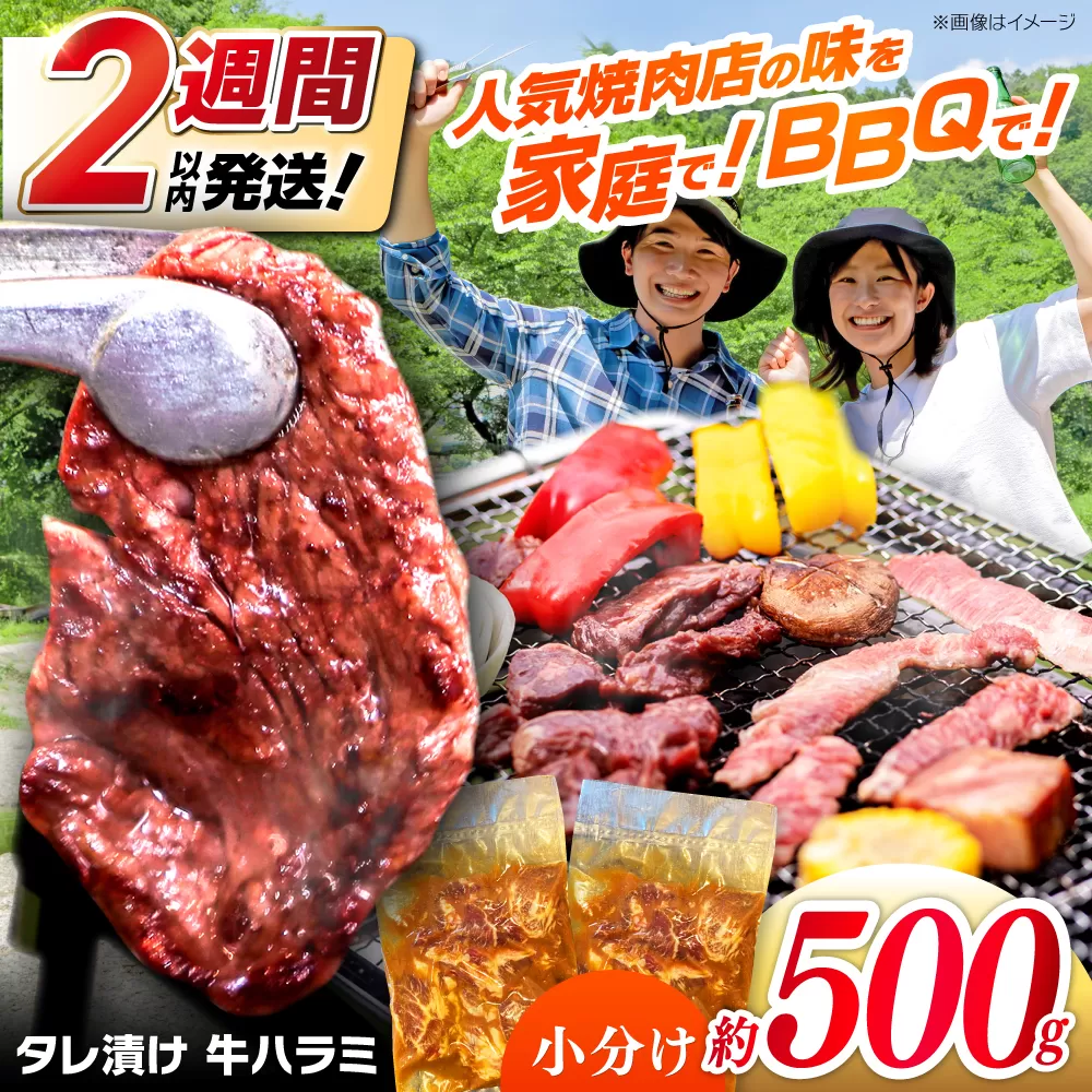 タレ漬け 牛ハラミ 約250g×2パック 計約500g 【焼肉寛十郎】 小分け 個包装 味付け タレ たれ 高知県 お肉 牛肉 贅沢 焼き肉 BBQ バーベキュー 訳あり わけあり ワケアリ はらみ [ATDO013]