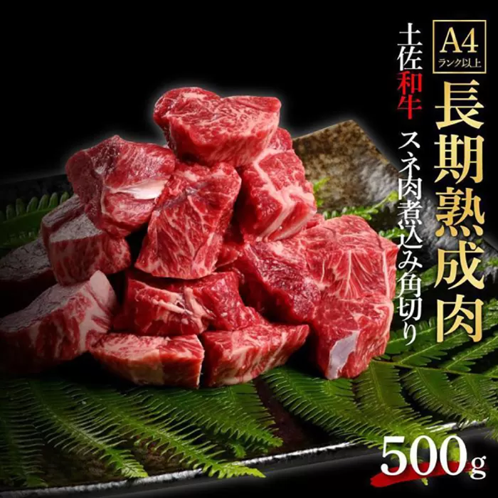 エイジング工法 熟成肉 土佐和牛 特選スネ肉 煮込み用角切り 約500g 冷凍 【株式会社LATERAL】 [ATAY043]