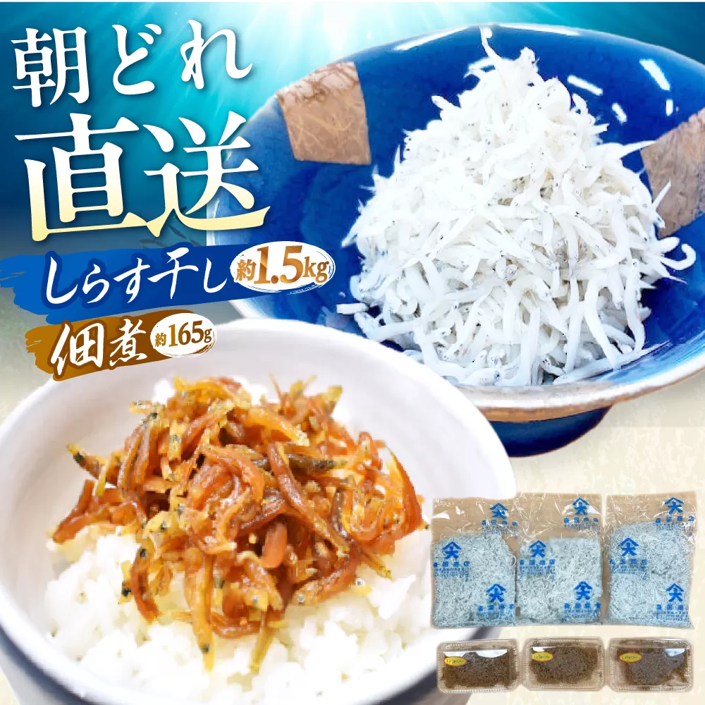 しらす干し（約1.5kg）と佃煮（約165g）セット　/森国商店　浜で瞬時に釜出し　高知のしらす【グレイジア株式会社】 [ATAC487]