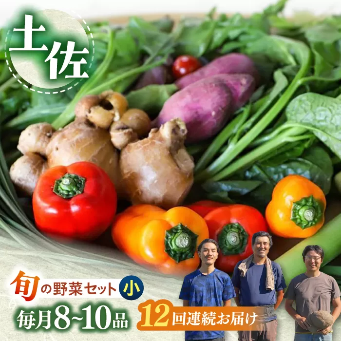 【12回定期便】 土佐の太陽をいっぱいに浴びた旬の野菜セット小 【土佐野菜】 [ATBA007]