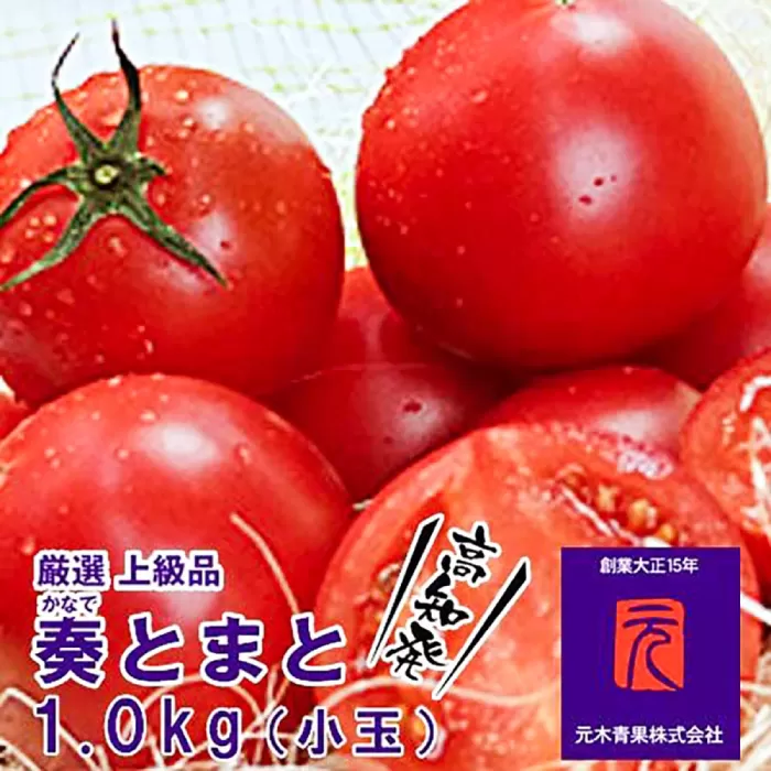 フルーツトマト「奏 (かなで) とまと」 (小玉) 約1kg化粧箱入 土佐郷 【グレイジア株式会社】 [ATAC320]