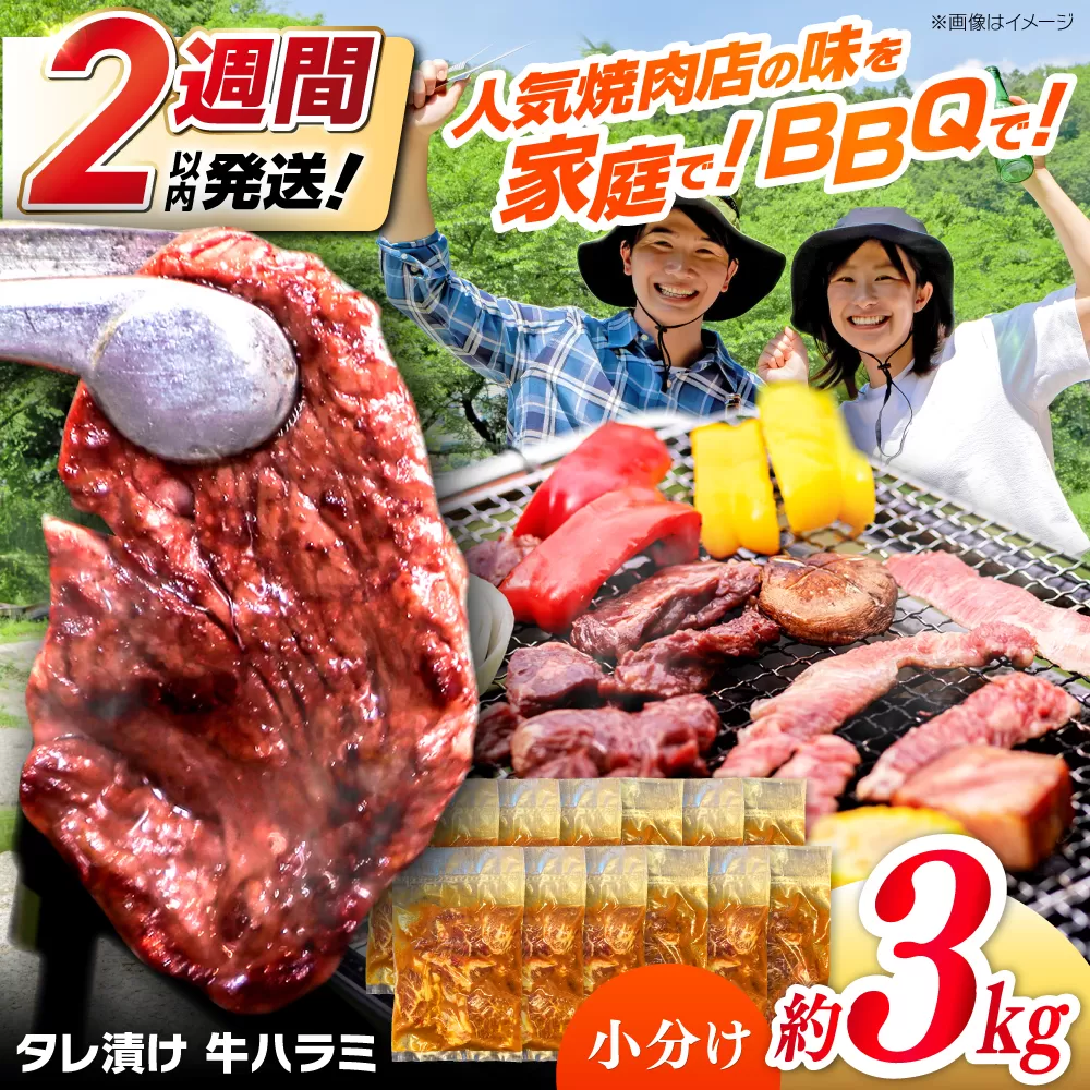 タレ漬け 牛ハラミ 約250g×12パック 計約3kg【焼肉寛十郎】小分け 個包装 味付け タレ たれ 高知県 お肉 牛肉 贅沢 焼き肉 BBQ バーベキュー 訳あり わけあり ワケアリ はらみ [ATDO016]