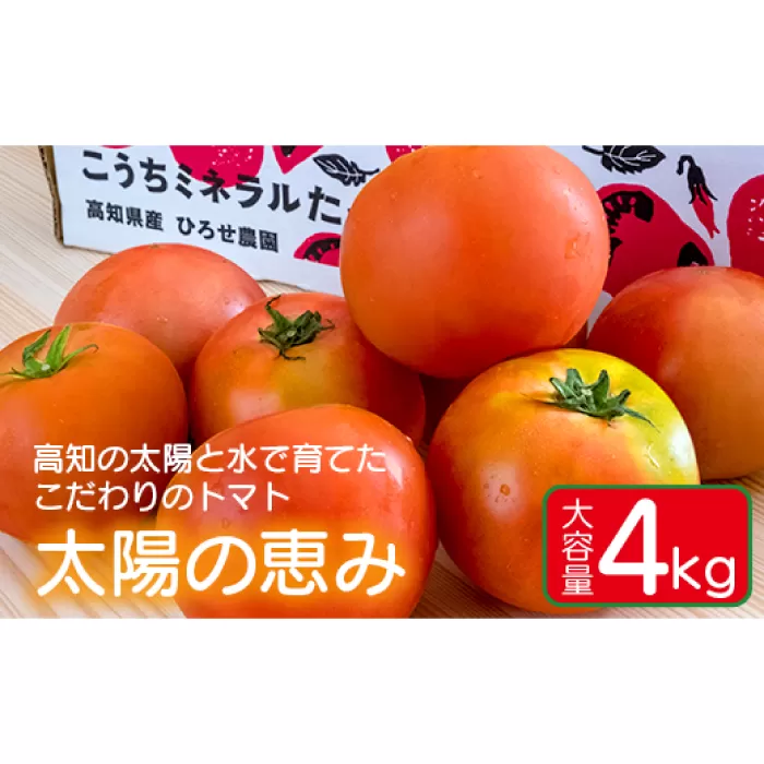 大容量4kg 高知の太陽と水で育てたこだわりのトマト「太陽の恵み」!! 【株式会社　羽根】 [ATCK001]