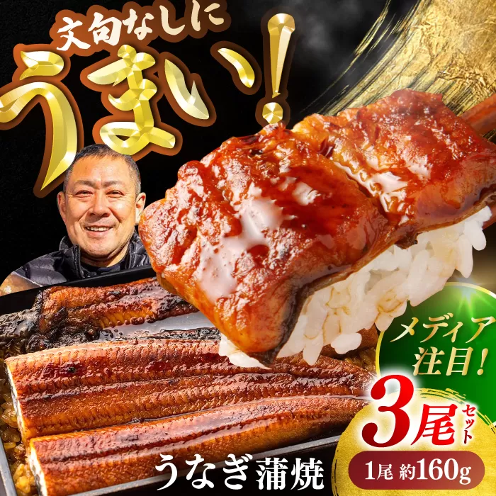 高知県産 うなぎ 長蒲焼3尾 約160g×3 (3〜6人前)/ 鰻 ウナギ 土用丑の日 高知産 うなぎ 【土佐黒潮水産】 [ATCQ010]