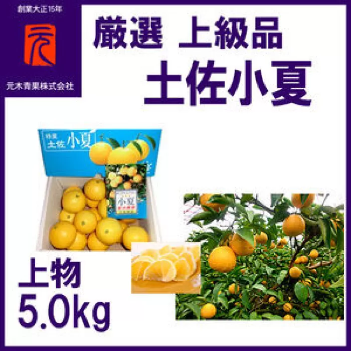 厳選上級品上物土佐小夏約5.0kg化粧箱Ｓ〜Ｍサイズ/【グレイジア株式会社】 [ATAC337]