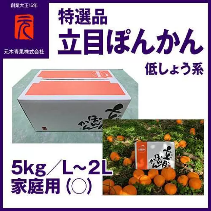 特選品立目ぽんかん（低しょう系）約5kg | L〜２L 家庭用 【グレイジア株式会社】 [ATAC335]