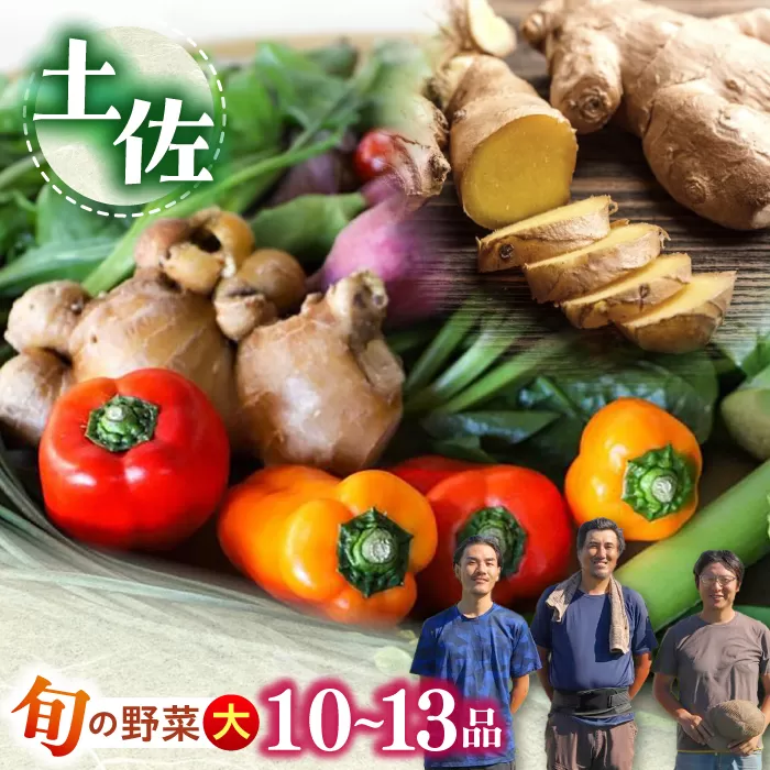 土佐の太陽をいっぱいに浴びた旬の野菜セット「大」【土佐野菜】 [ATBA002]