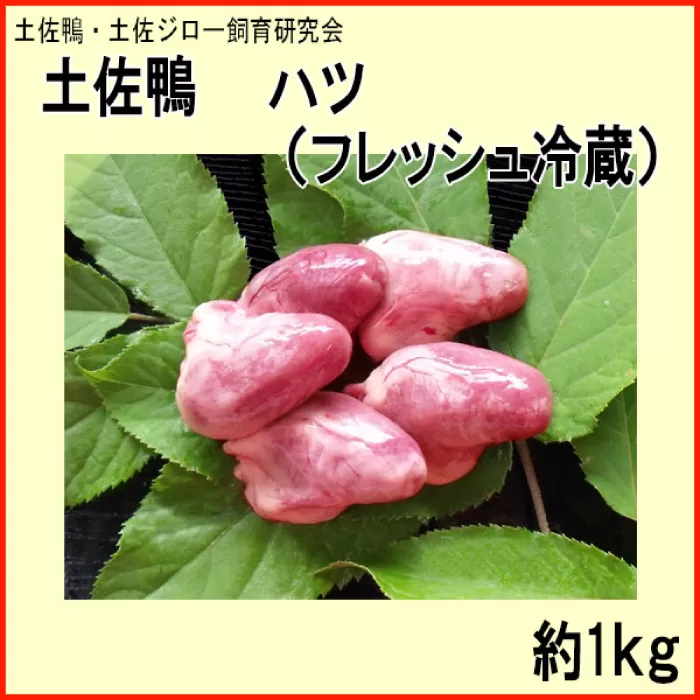 土佐鴨 ハツ (フレッシュ冷蔵) 約1kg 土佐鴨 土佐ジロー飼育研究会 カモ かも 心臓 【グレイジア株式会社】 [ATAC593]