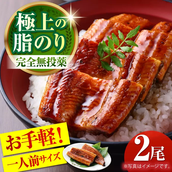 高知県産 うなぎ蒲焼き 約90g×2尾 タレ付き [株式会社 四国健商] [ATAF064]