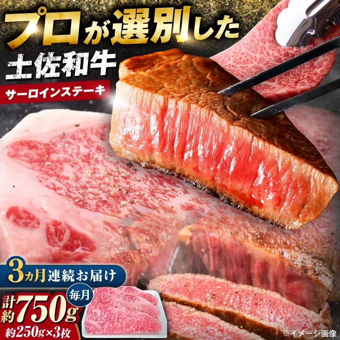 【3回定期便】土佐黒毛和牛 サーロインステーキ (約250g×3枚) 総計約2.25kg 【株式会社 四国健商】 [ATAF128]