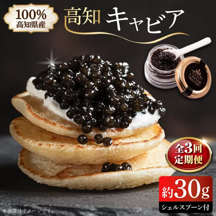 【3回定期便】高知県産熟成キャビア約30g (化粧箱) シェルスプーン付Black Jewel 【興洋フリーズ株式会社】 [ATBX100]