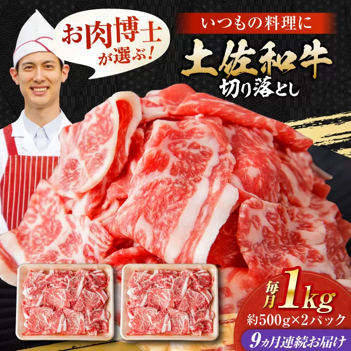 【9回定期便】高知県産 土佐和牛 切り落とし 炒め物 すき焼き用 約1kg×9ヵ月 総計約9kg [ATAP097]