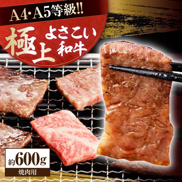 高知県産 よさこい和牛 焼肉用 約600g 牛肉 国産 焼き肉 BBQ A4 A5 【(有)山重食肉】 [ATAP063]