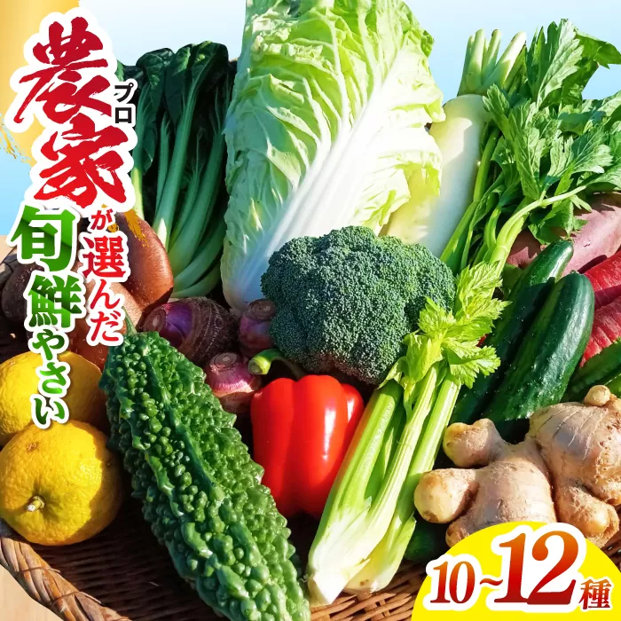 高知県産 土佐季節の野菜詰め合せセット 【香稜苑】 [ATBQ001]
