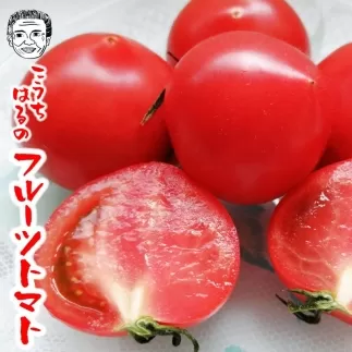 高知市春野町産 フルーツトマト（約1.3kg〜約1.5kg)