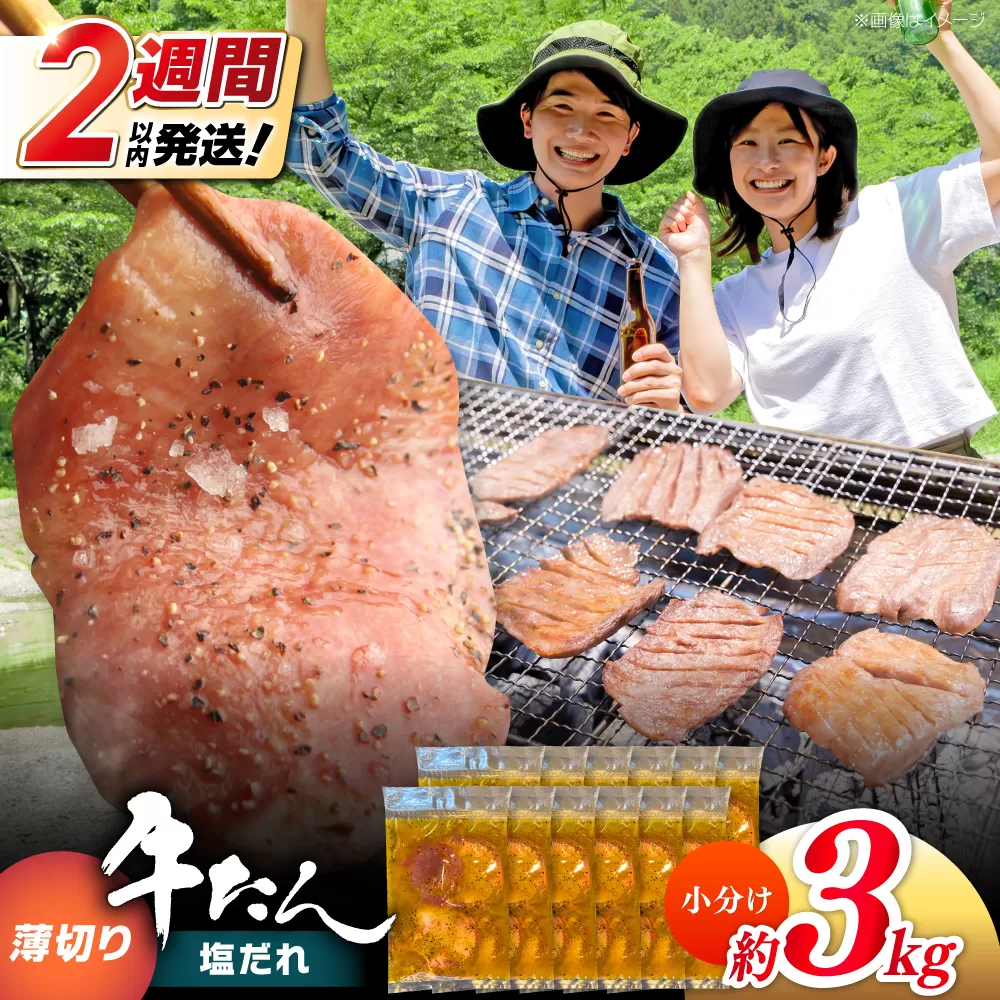 薄切り 牛タン 塩だれ  約250g×12パック 計約3kg 小分け 個包装 味付け タレ たれ 高知県 お肉 牛肉 贅沢 焼き肉 BBQ バーベキュー 訳あり わけあり ワケアリ 牛たん 【焼肉寛十郎】 [ATDO035]