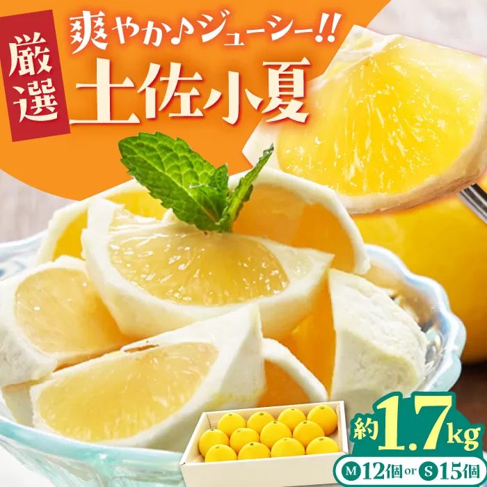 【先行予約】厳選 土佐小夏 約1.7kg <2025年3月〜発送>【有限会社 武田青果】 [ATBB009]