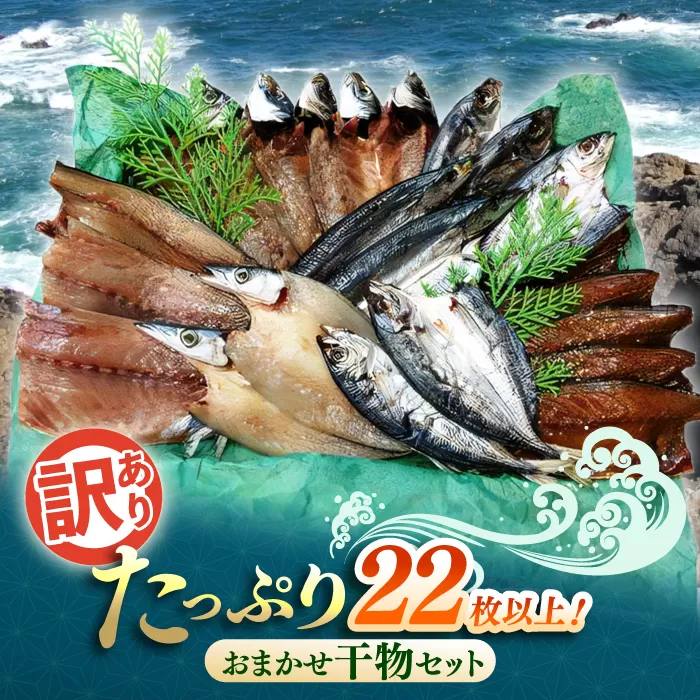 ワケありおまかせ干物セット たっぷり22枚以上! 【株式会社 ひらきの高橋】 [ATBU002]