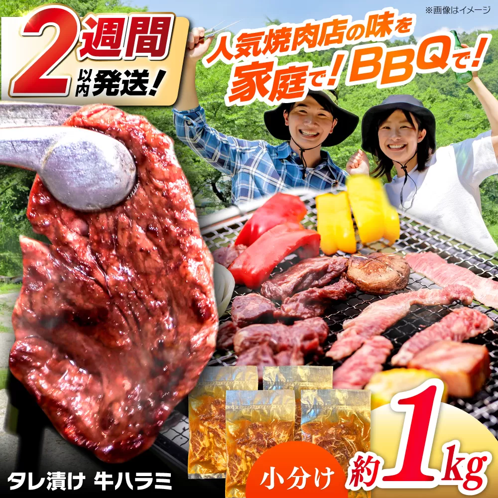 タレ漬け 牛ハラミ 約250g×4パック 計約1kg【焼肉寛十郎】小分け 個包装 味付け タレ たれ 高知県 お肉 牛肉 贅沢 焼き肉 BBQ バーベキュー 訳あり わけあり ワケアリ はらみ [ATDO014]
