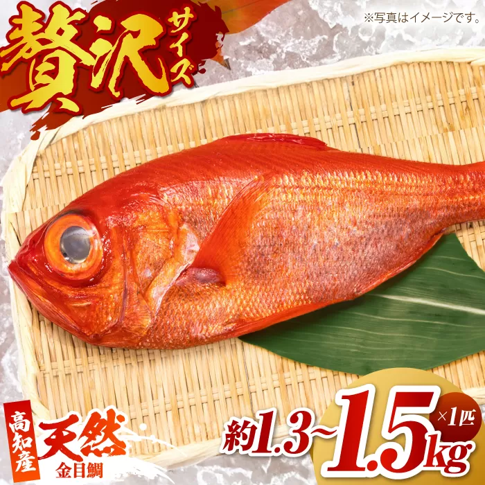 高知県産 天然 金目鯛 約1.3kg〜1.5kg 〈2025年2月〜発送〉 /内臓・うろこ処理済み 刺身 煮付け たい タイ キンメダイ 【株式会社　四国健商】 [ATAF004]