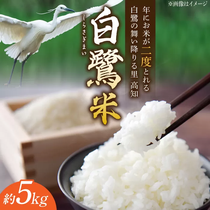 【令和6年度産】 農薬節減！ 白鷺米 コシヒカリ 約5kg / 高知 米 お米 精米　【津ノ宮農園】 [ATBV001]