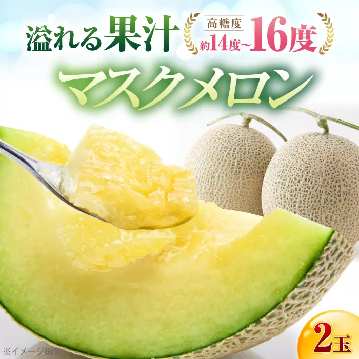 【先行予約】高知市 春野町産 マスクメロン 2玉 (約2.8kg~約3.4kg 箱重量込み) 〈2025年9月〜発送〉 【片山農園】 [ATCI002]