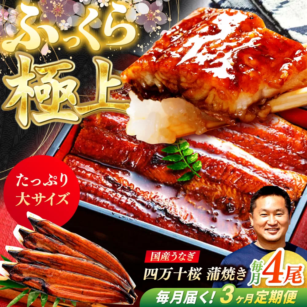 【3回定期便】極上国産うなぎ四万十桜 蒲焼き4尾 たっぷり大サイズ / 国産 高知 四万十 うなぎ ウナギ 鰻 蒲焼き うな重 惣菜 贅沢 【有限会社もりた】 [ATHE007]