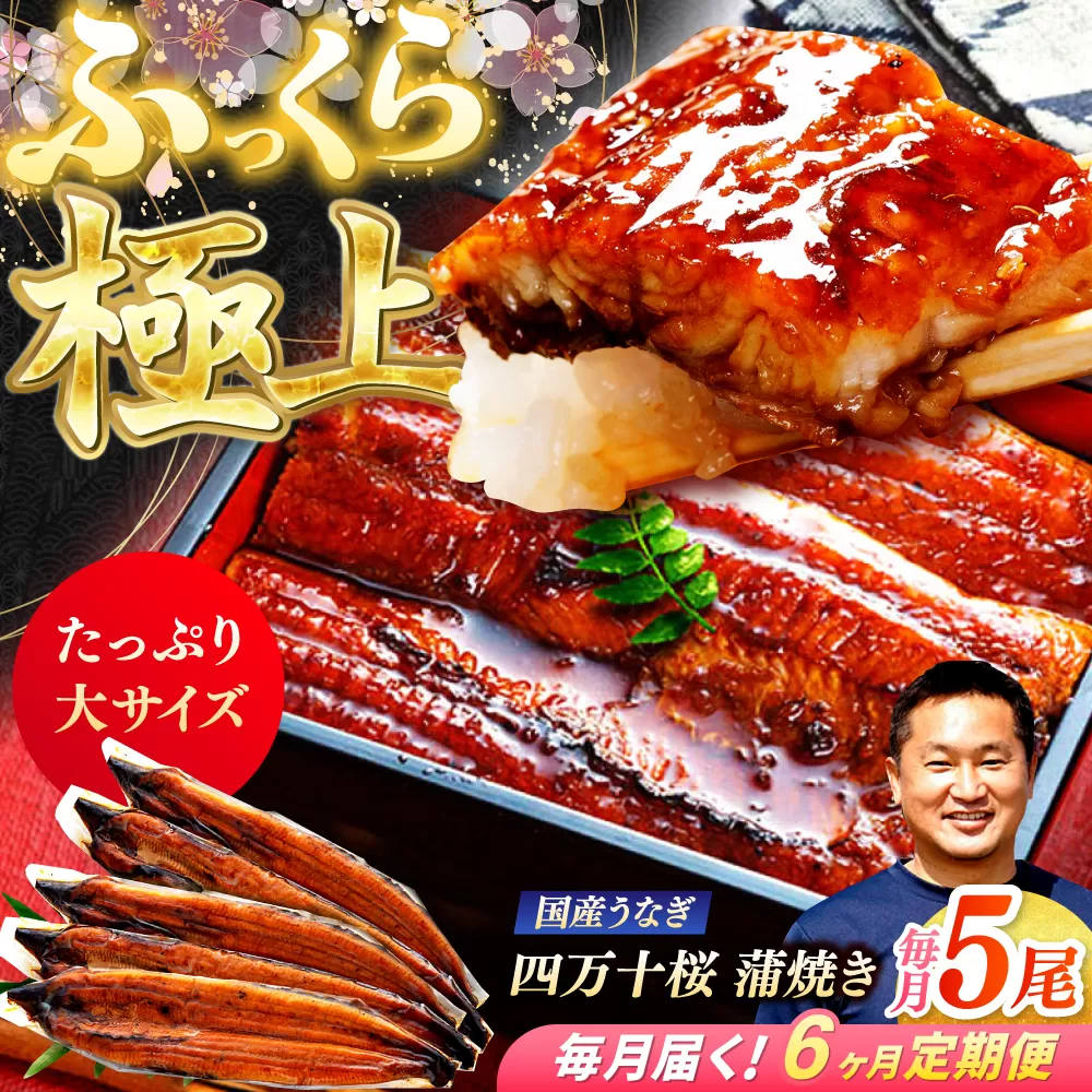 【6回定期便】極上国産うなぎ四万十桜 蒲焼き5尾 たっぷり大サイズ / 国産 高知 四万十 うなぎ ウナギ 鰻 蒲焼き うな重 惣菜 贅沢 【有限会社もりた】 [ATHE012]
