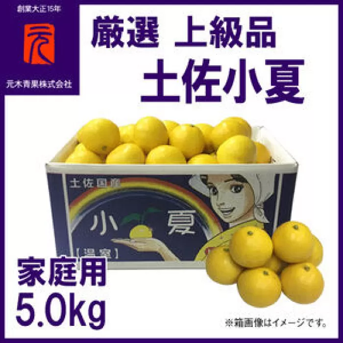 厳選上級品家庭用土佐小夏約5.0kgＭ〜Ｌサイズ【グレイジア株式会社】 [ATAC339]