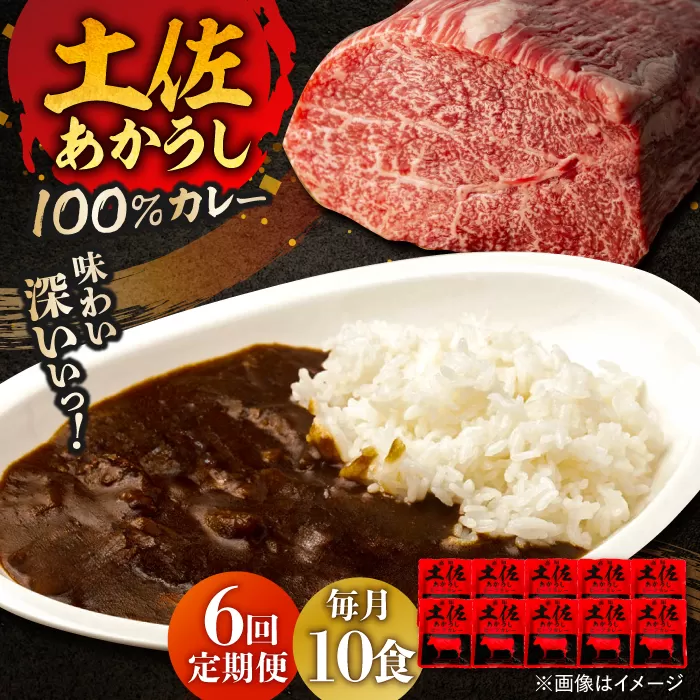 【6回定期便】高知土佐あかうしビーフカレー 10食セット/ レトルト カレー あか牛 土佐あかうし 牛肉 牛カレー 保存食 常備 人気 おすすめ 高知市 【株式会社 四国健商】 [ATAF138]
