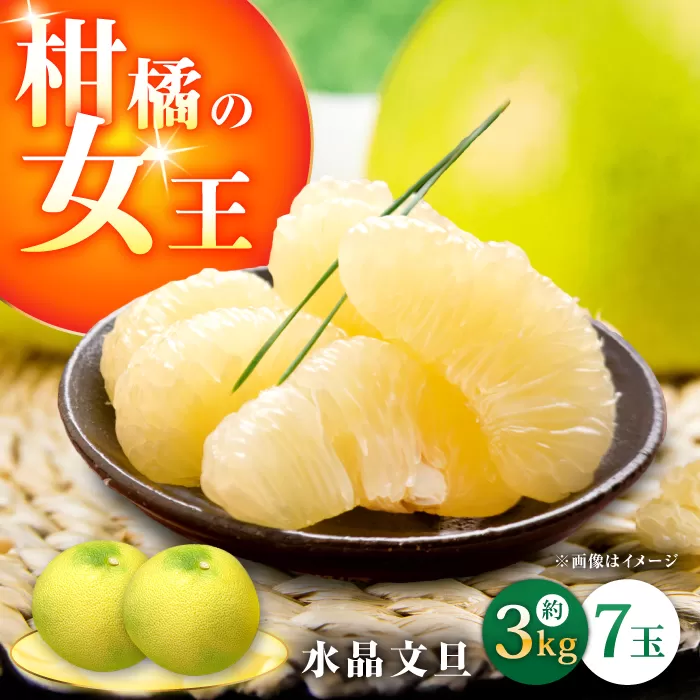 【9月下旬頃より発送】高知県産 水晶文旦 約3kg 7玉入 【株式会社　四国健商】 [ATAF031]