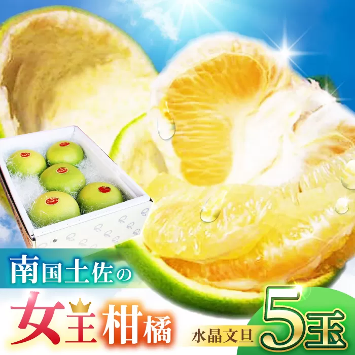 南国土佐の女王柑橘 水晶文旦 約3kg 5玉入り 文旦 ぶんたん フルーツ 果物 3キロ 高知県 【フルーツショップオザキ】 [ATAH008]